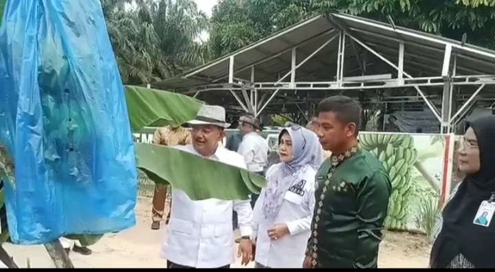 Kampar Bidik Pisang Cavendish Jadi Komoditas Unggulan, Petani Ditawarkan Kepastian Pasar